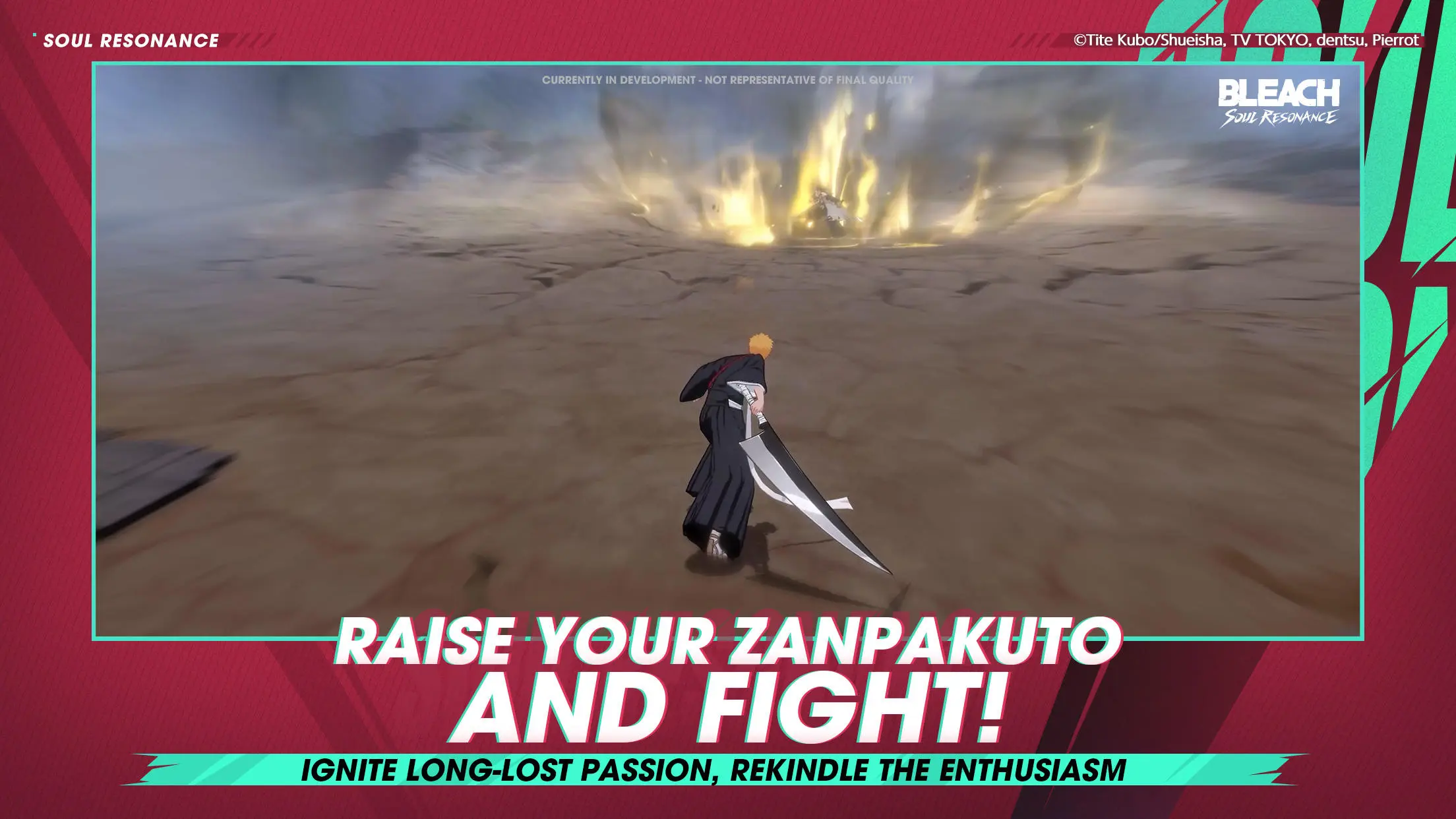 Bleach: Soul Resonance