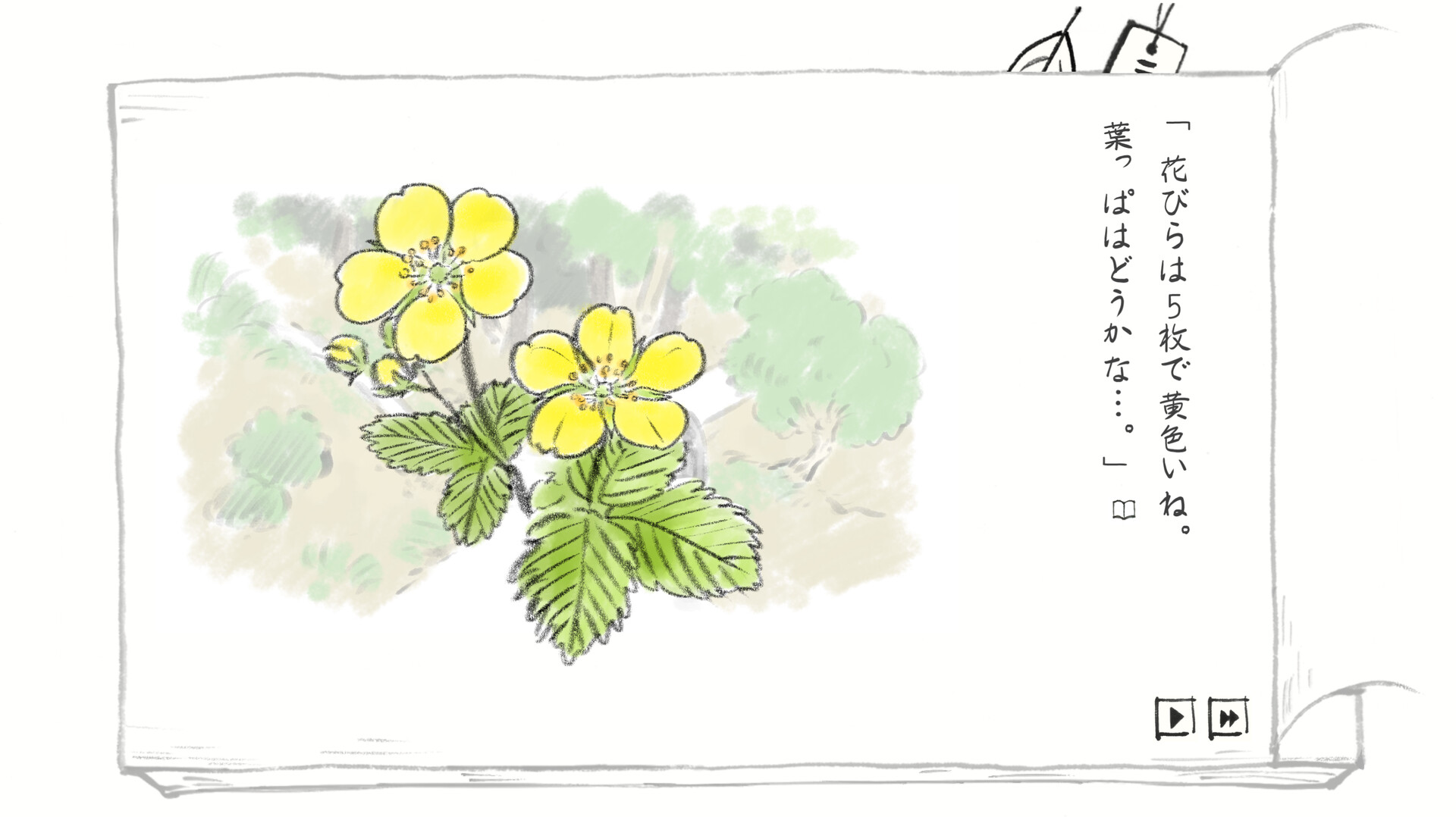 Satoyama Note Spring Walk