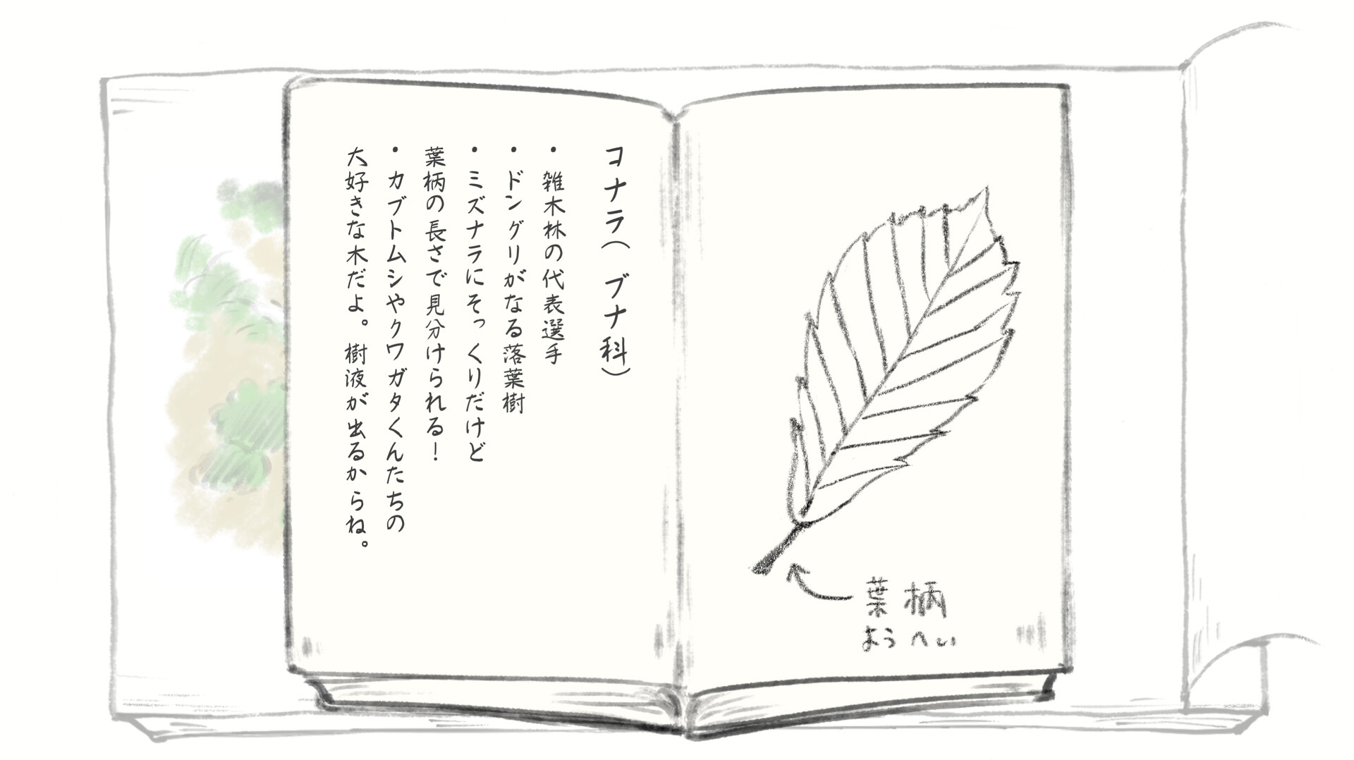 Satoyama Note Spring Walk