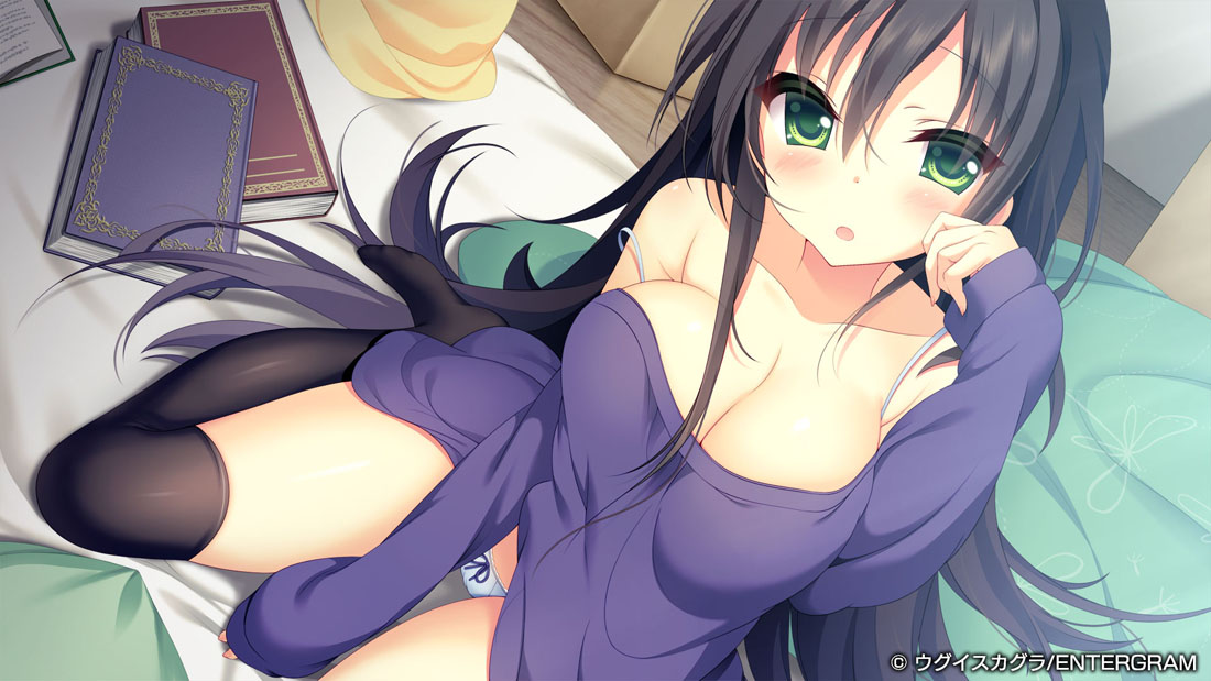 Meikei no Lupercalia: Limited Edition