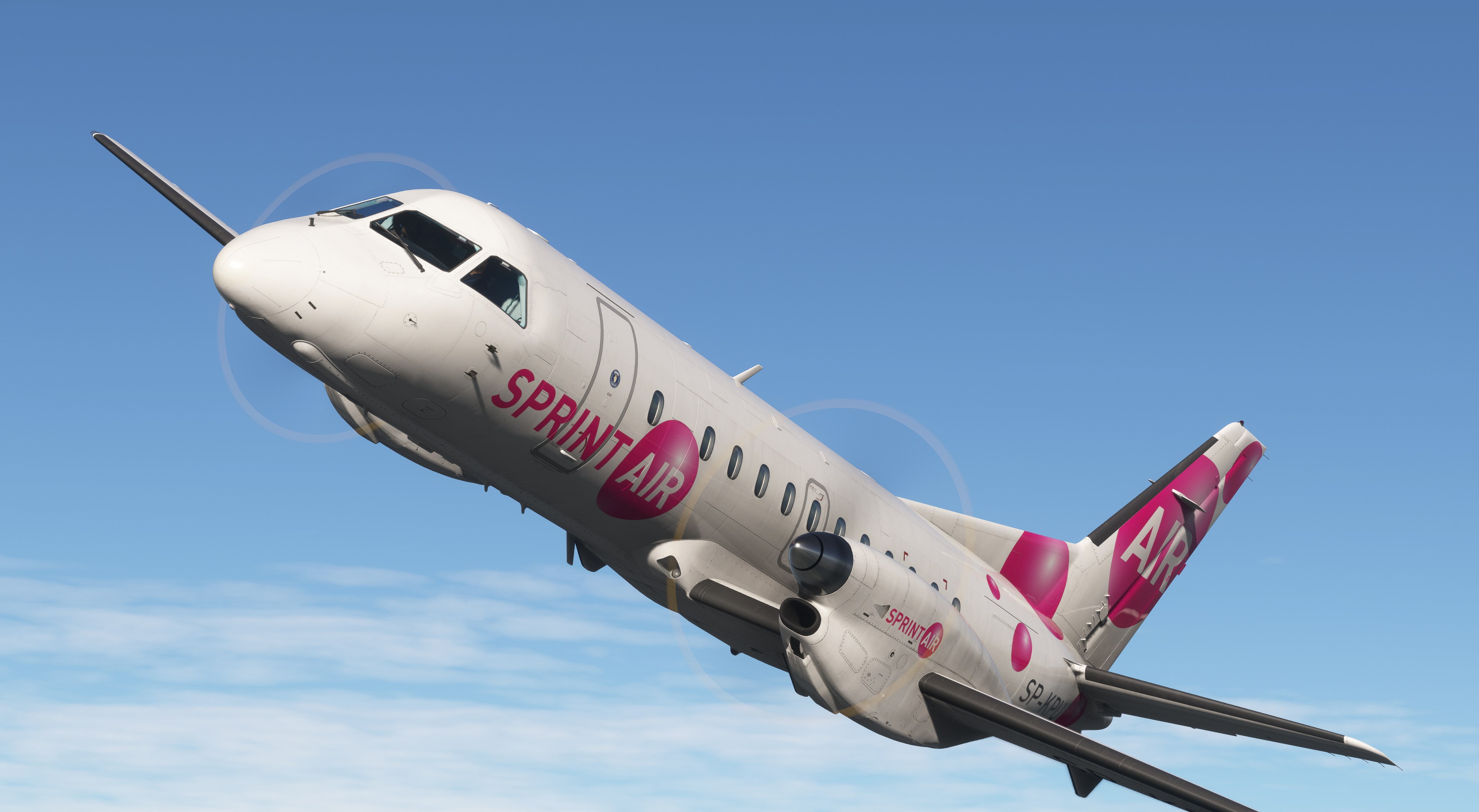 Microsoft Flight Simulator 2024: Aviator Edition