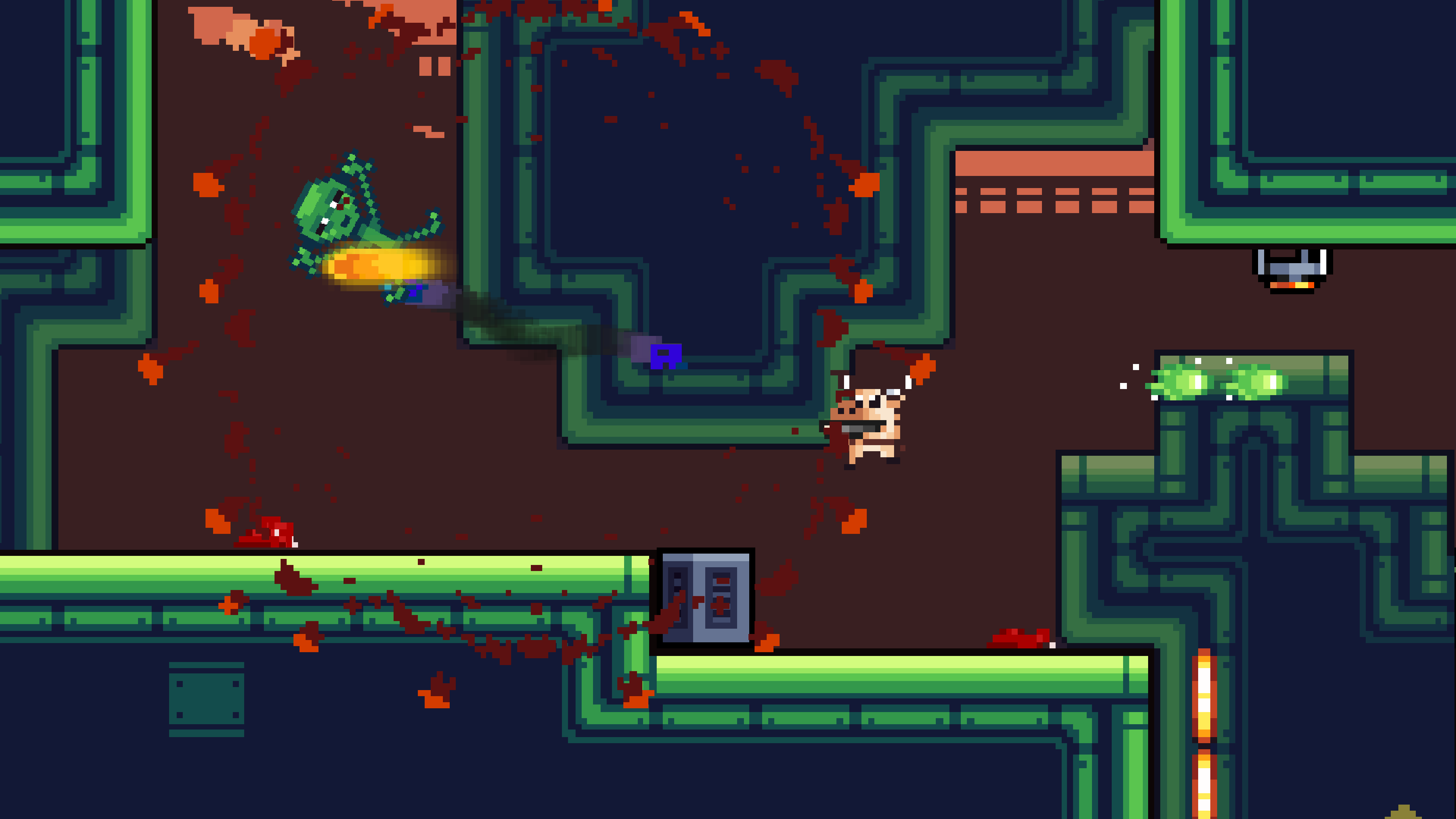 M.A.D. Cows and D.U.M.B. Ducks Bundle