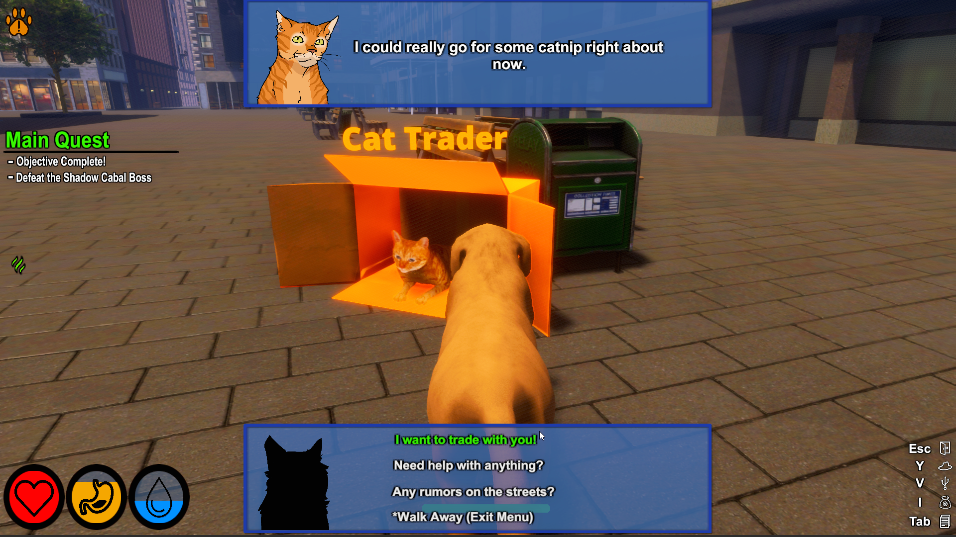 Lost Paws