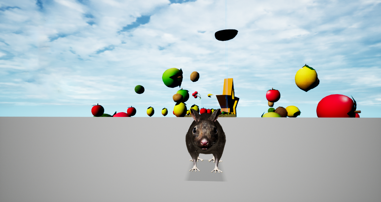 Rat Memory