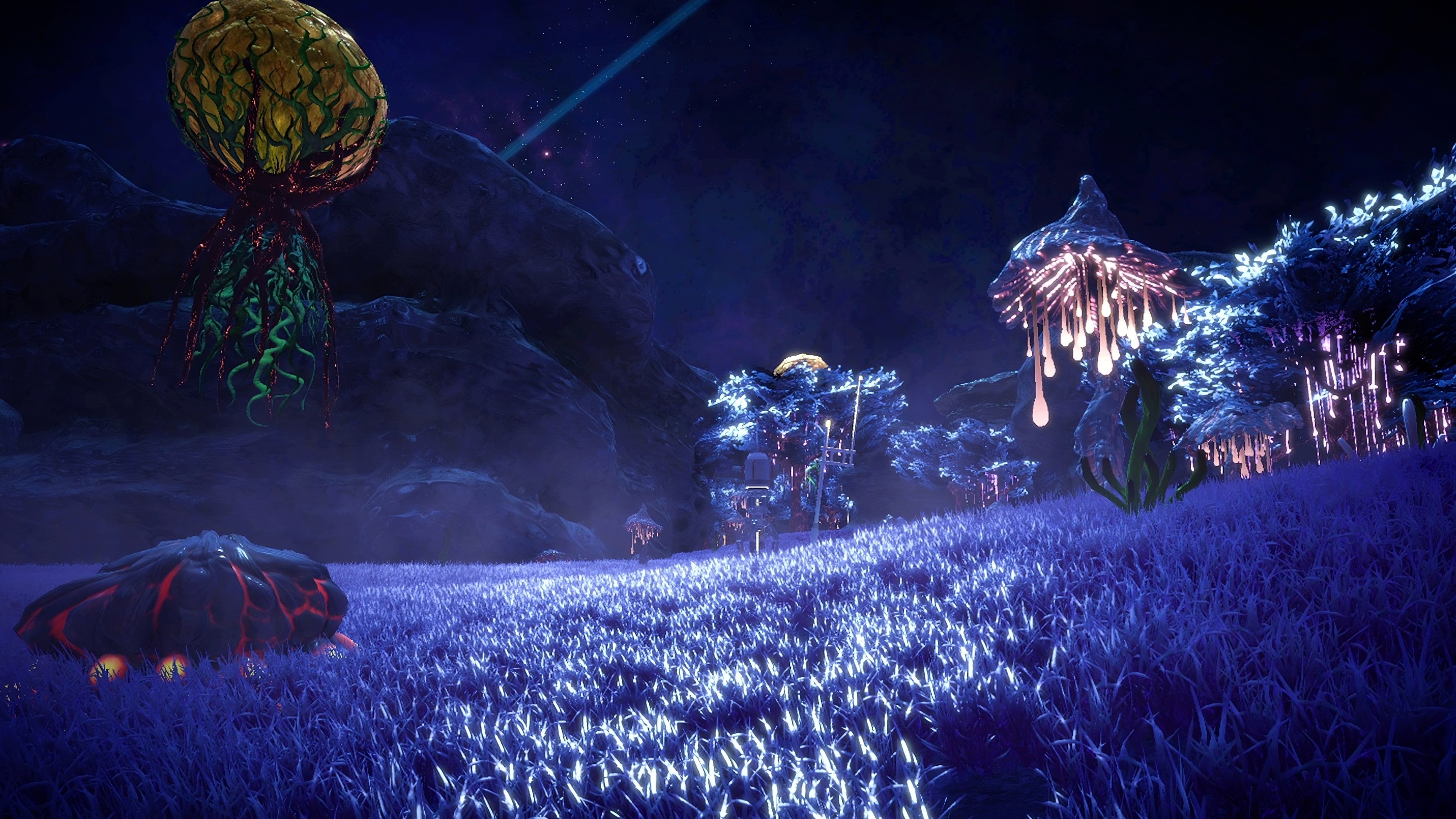Into Death and Beyond