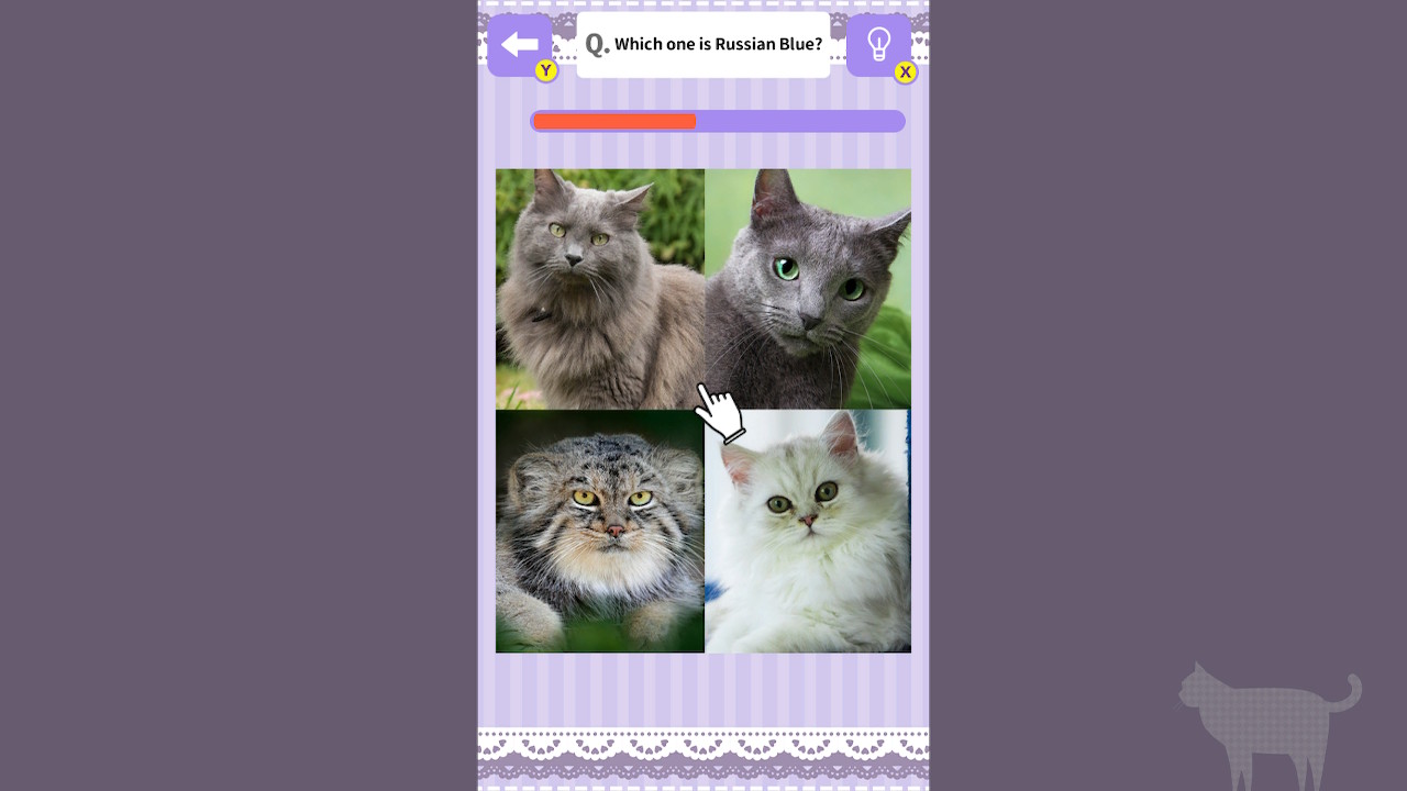 Cat Spotting Challenge!