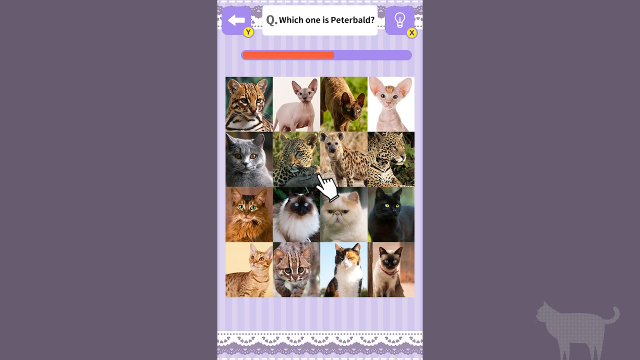 Cat Spotting Challenge!