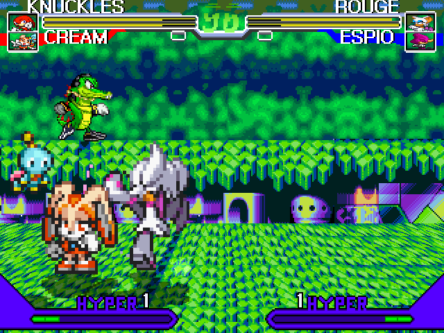 Team Sonic Fighters