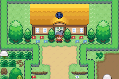 Pokémon Sword and Shield Ultimate Plus