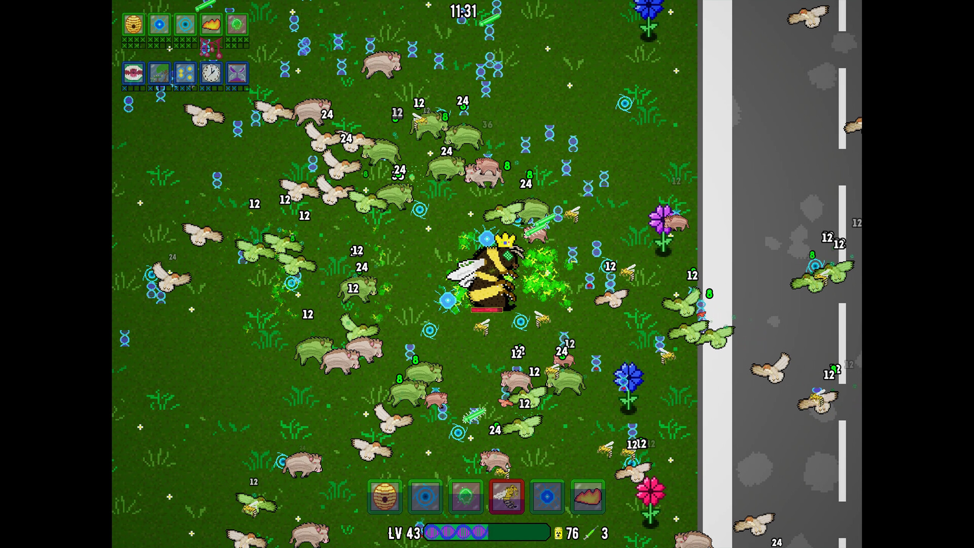 Kaiju Evolution Survivor