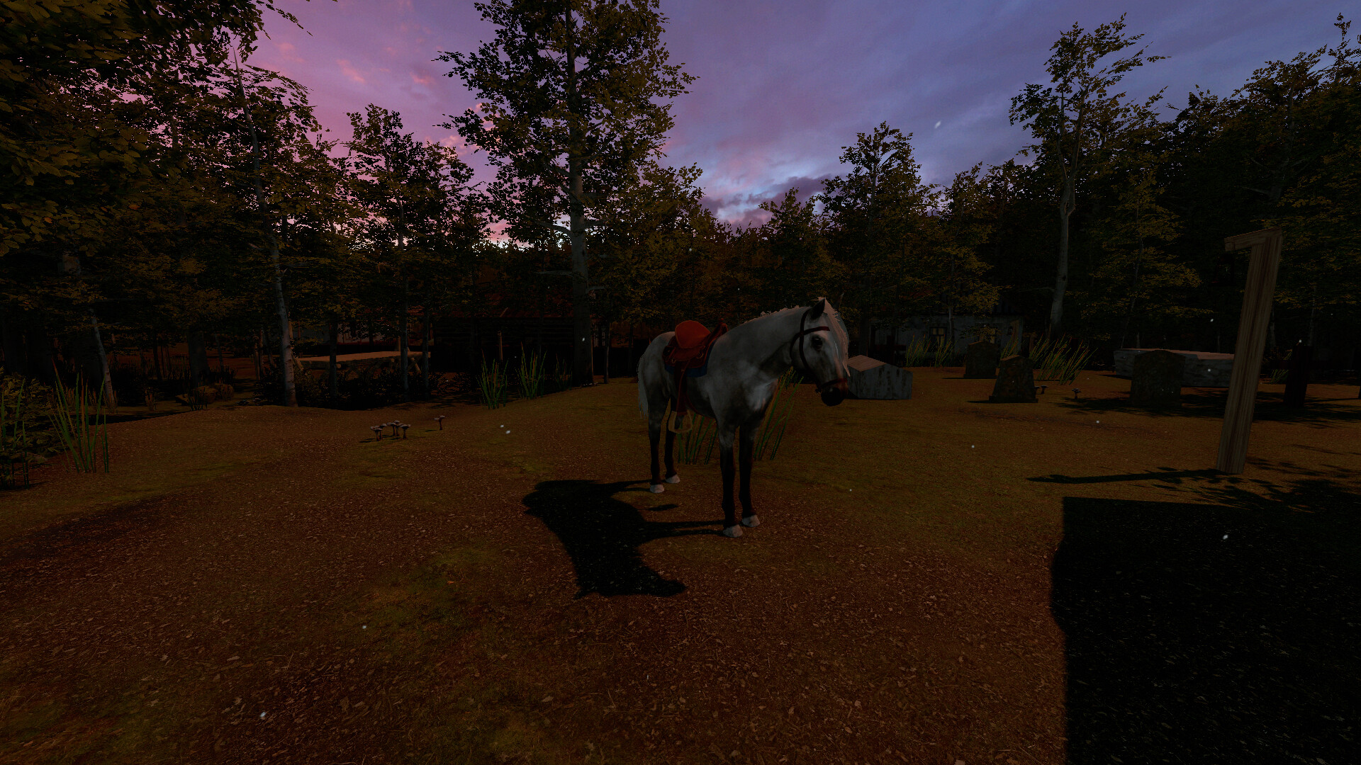 Trash Horror Collection 5