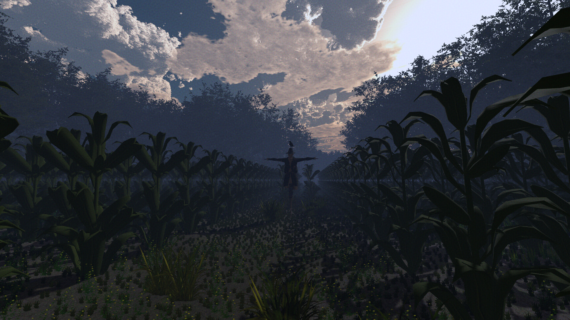 Trash Horror Collection 5