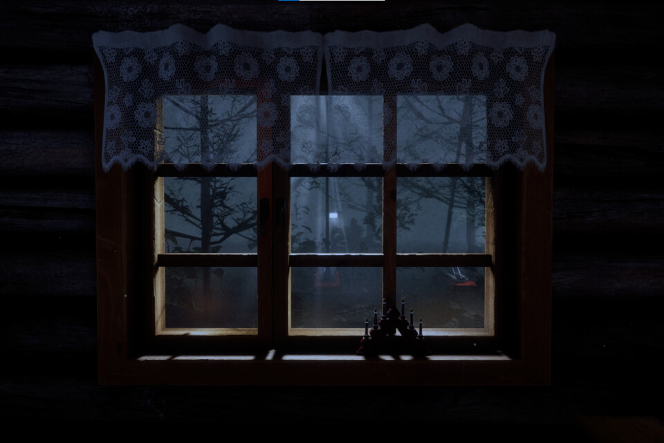 Finnish Cottage 8