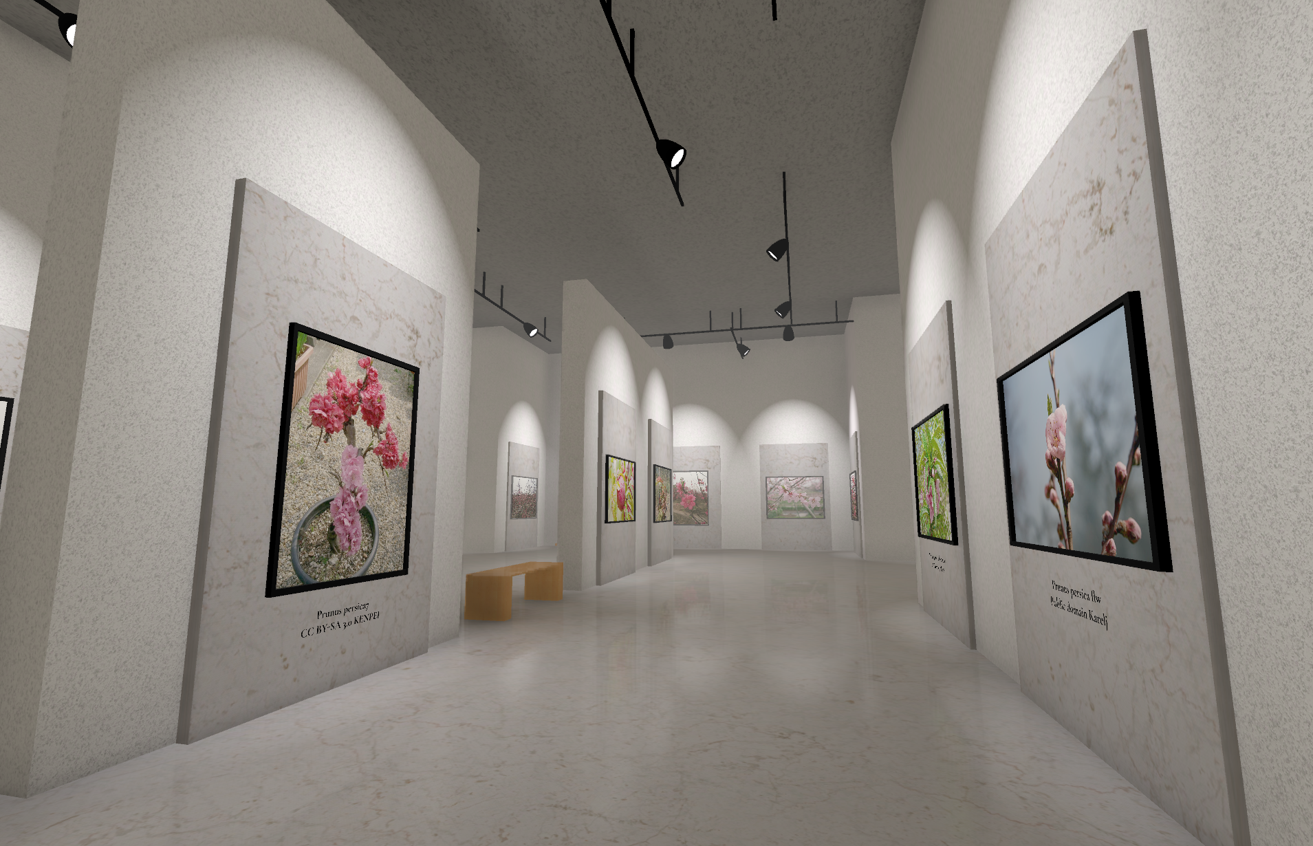 Museum of All Things