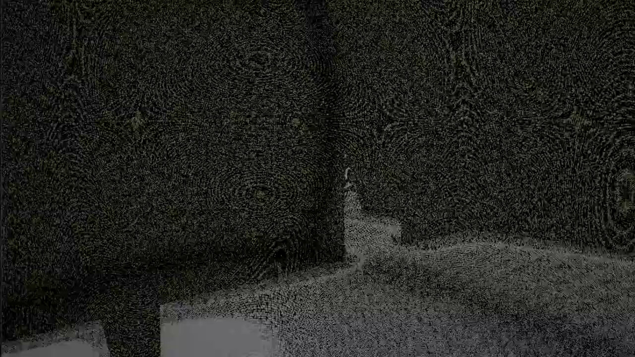 Static Paradox