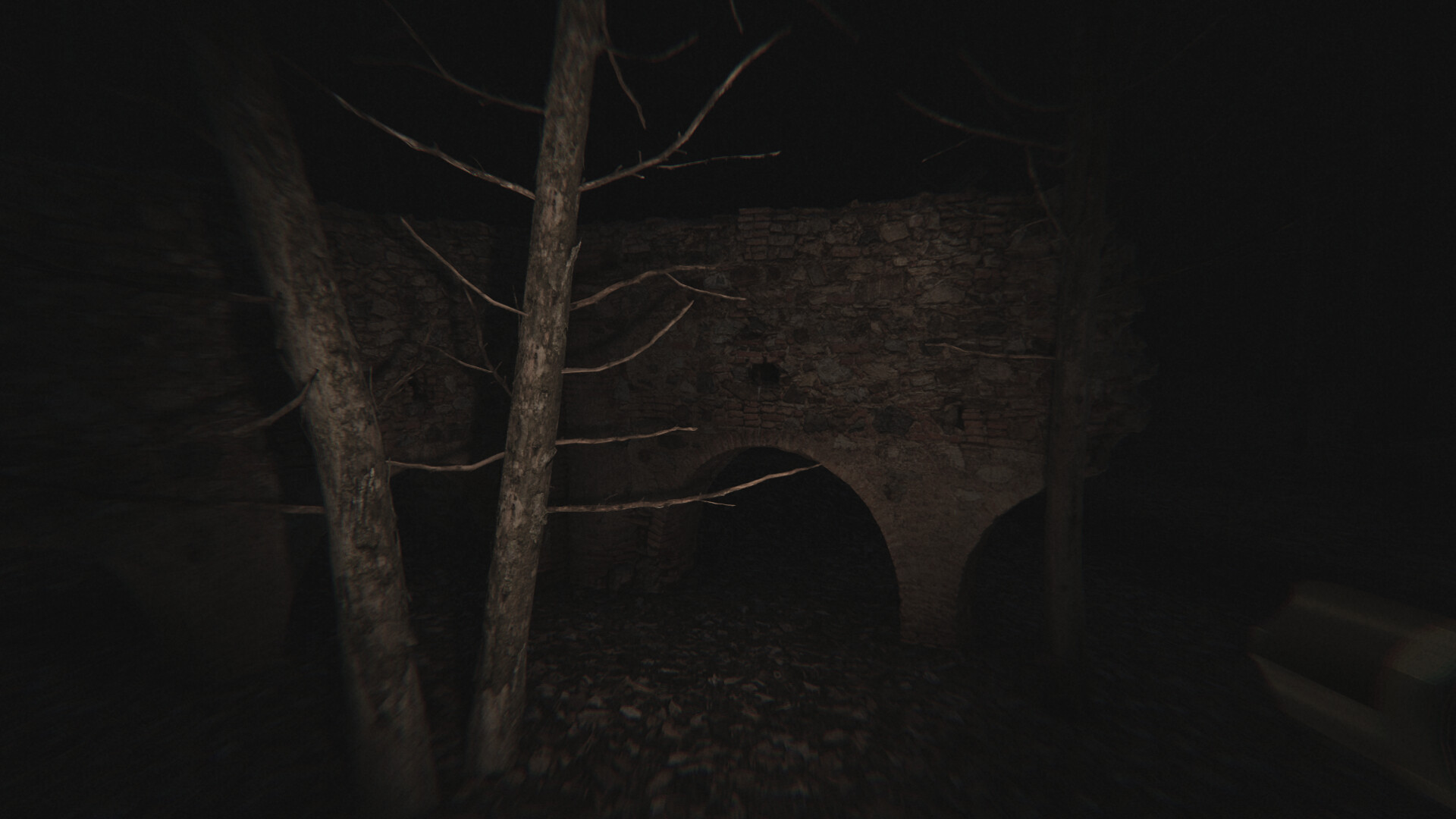 Dead Silence: Echoes of the Damned