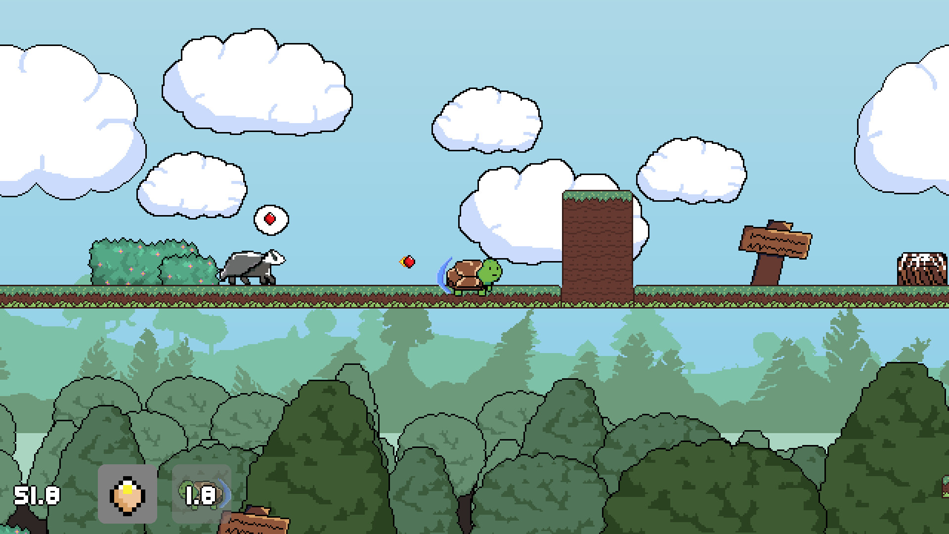 TurtleRun