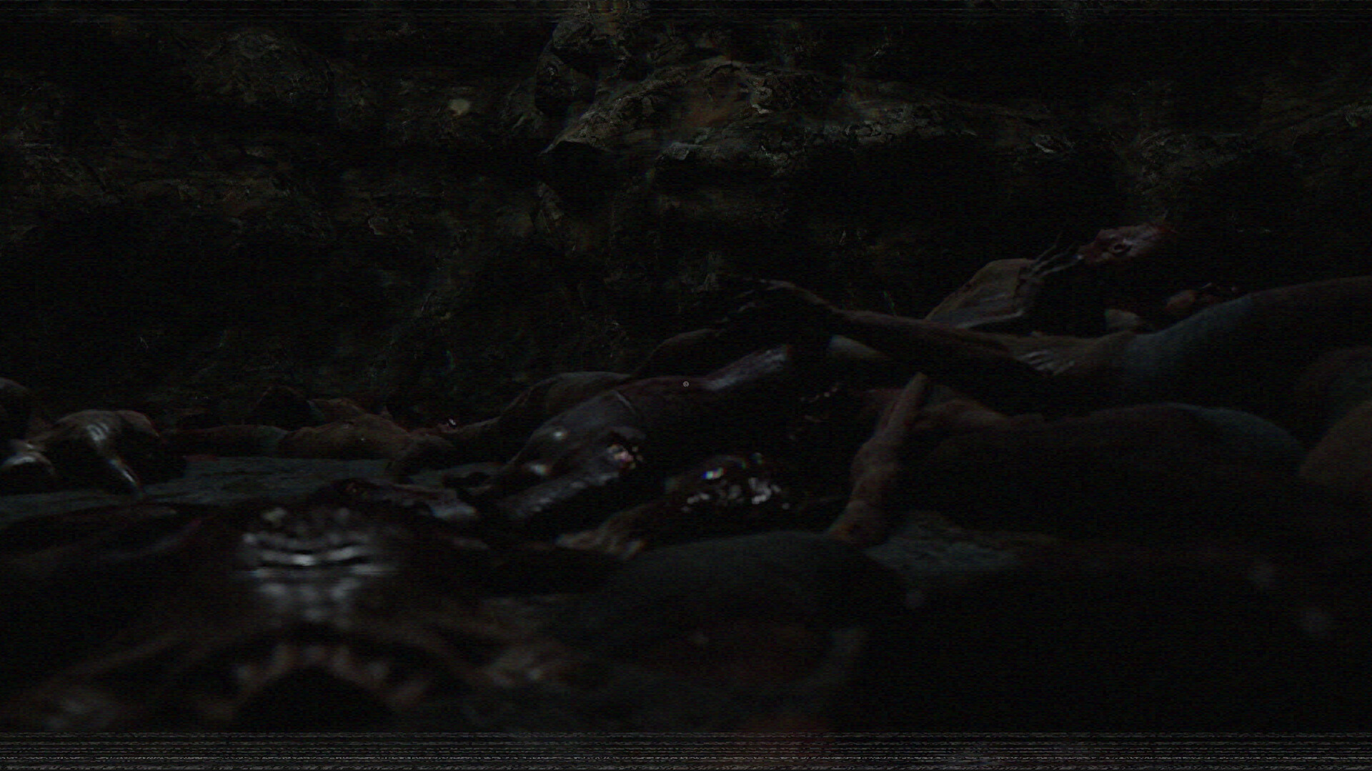 Welcome to the Chop House