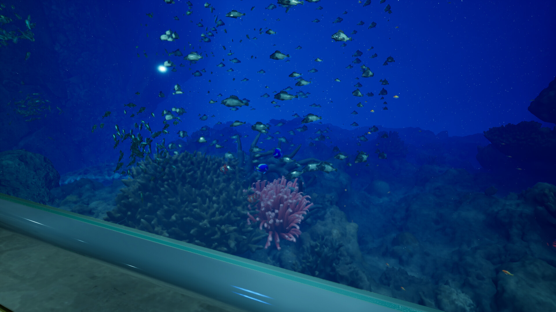 Aquarium at August 32nd