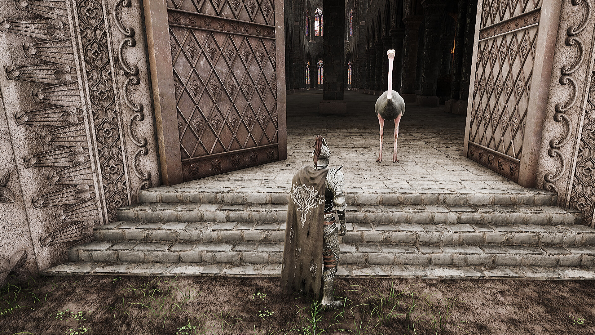 Dragon Knight