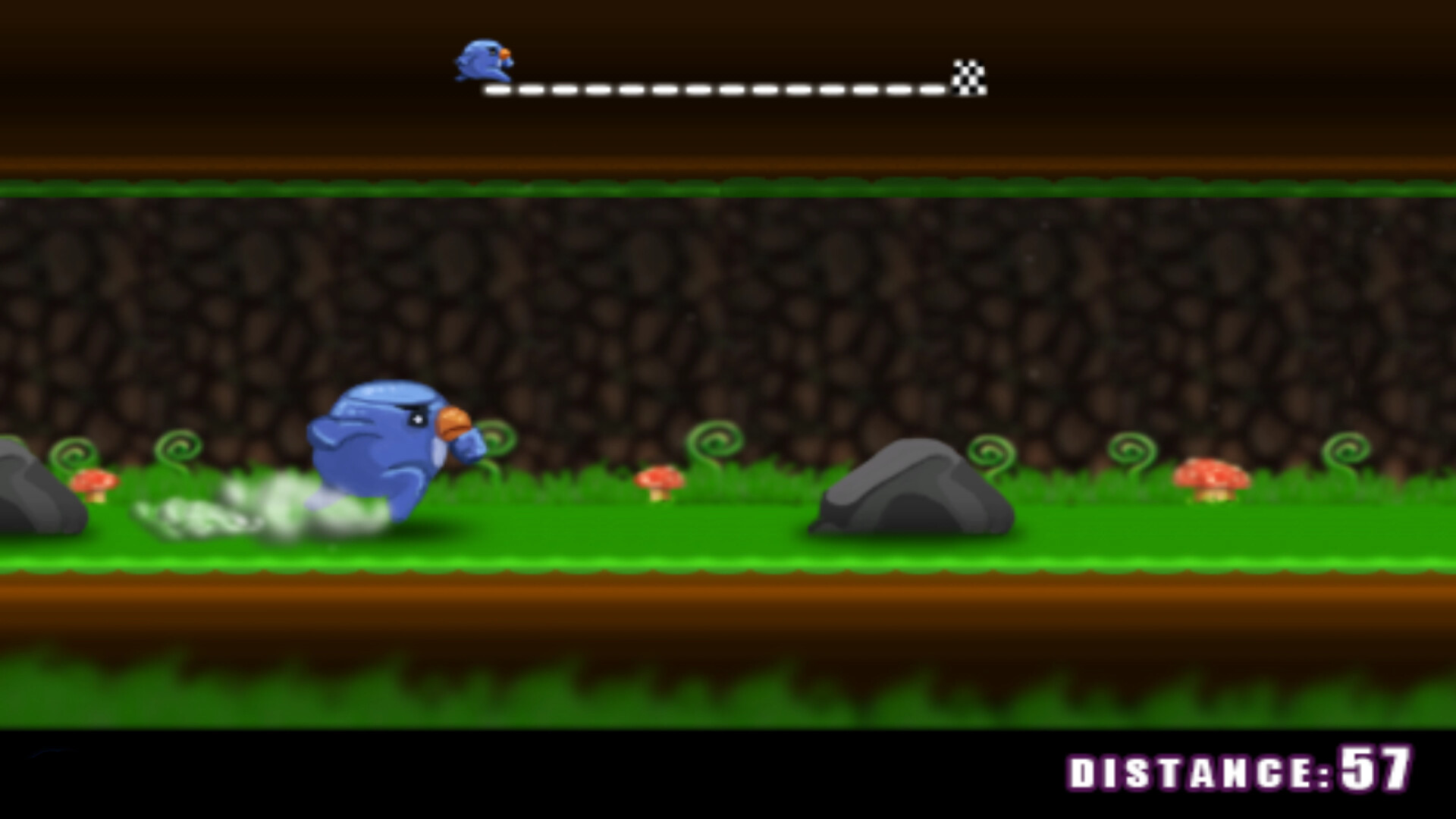 Run Bird Run!