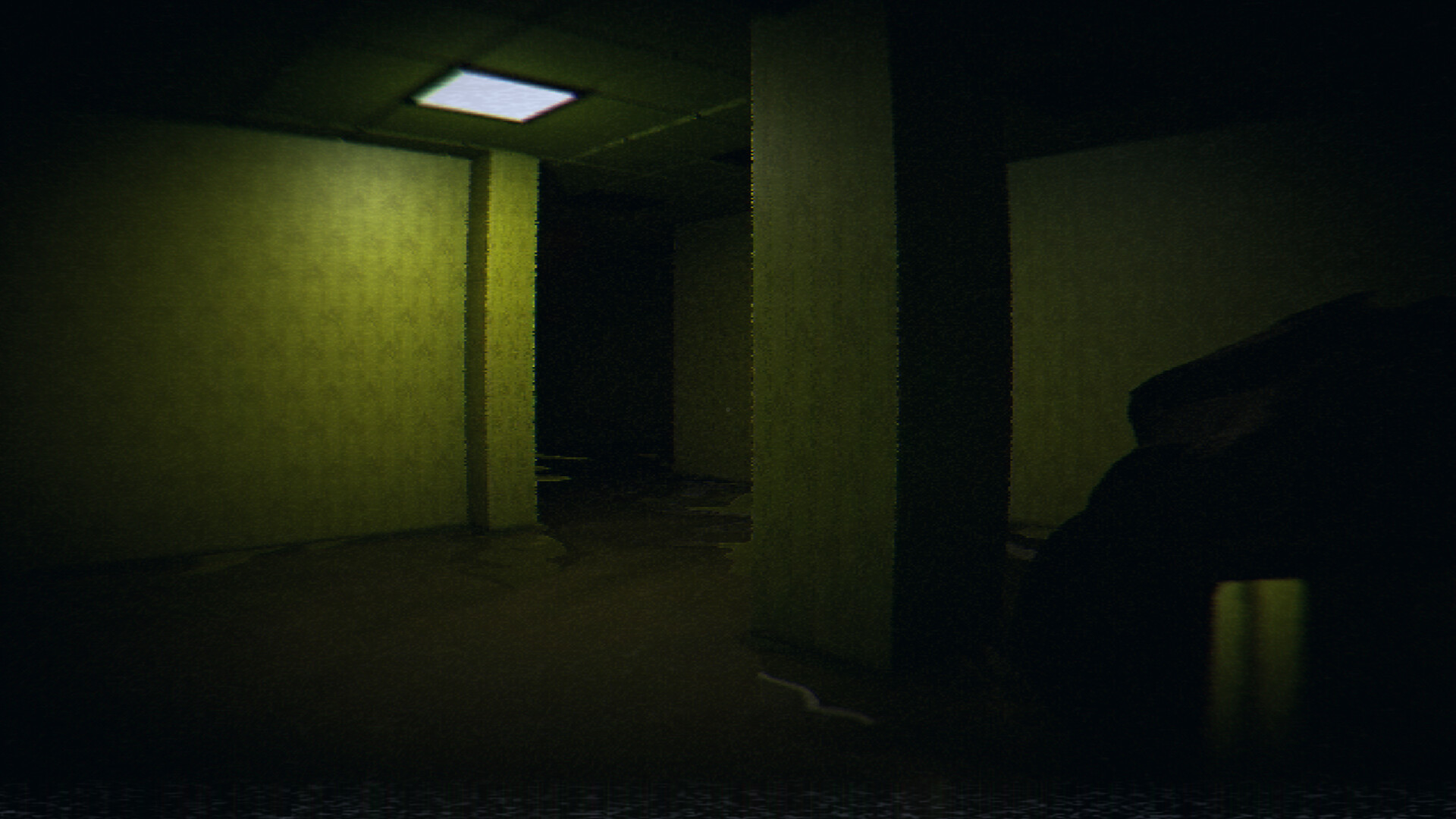 HorrorCore: Maze and Pools of Horror