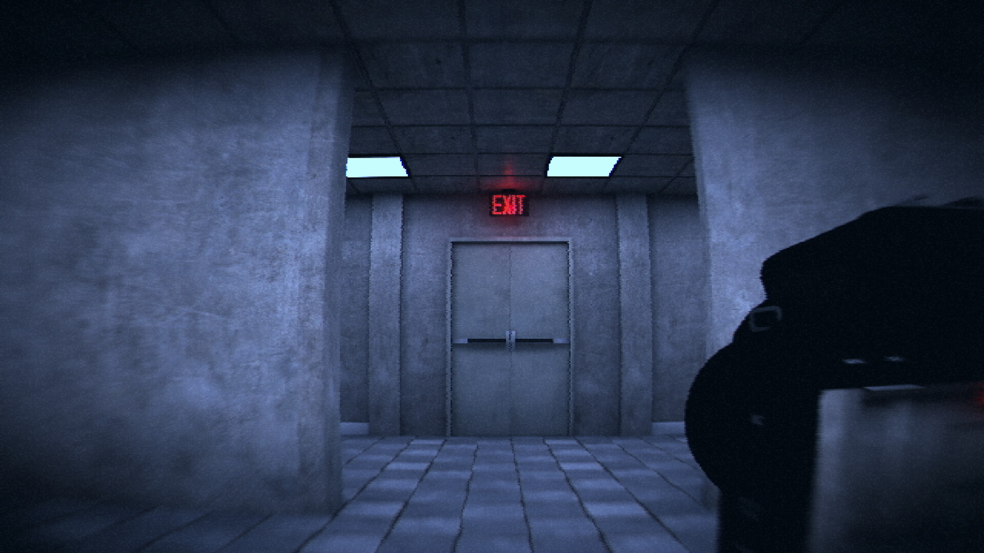 HorrorCore: Maze and Pools of Horror