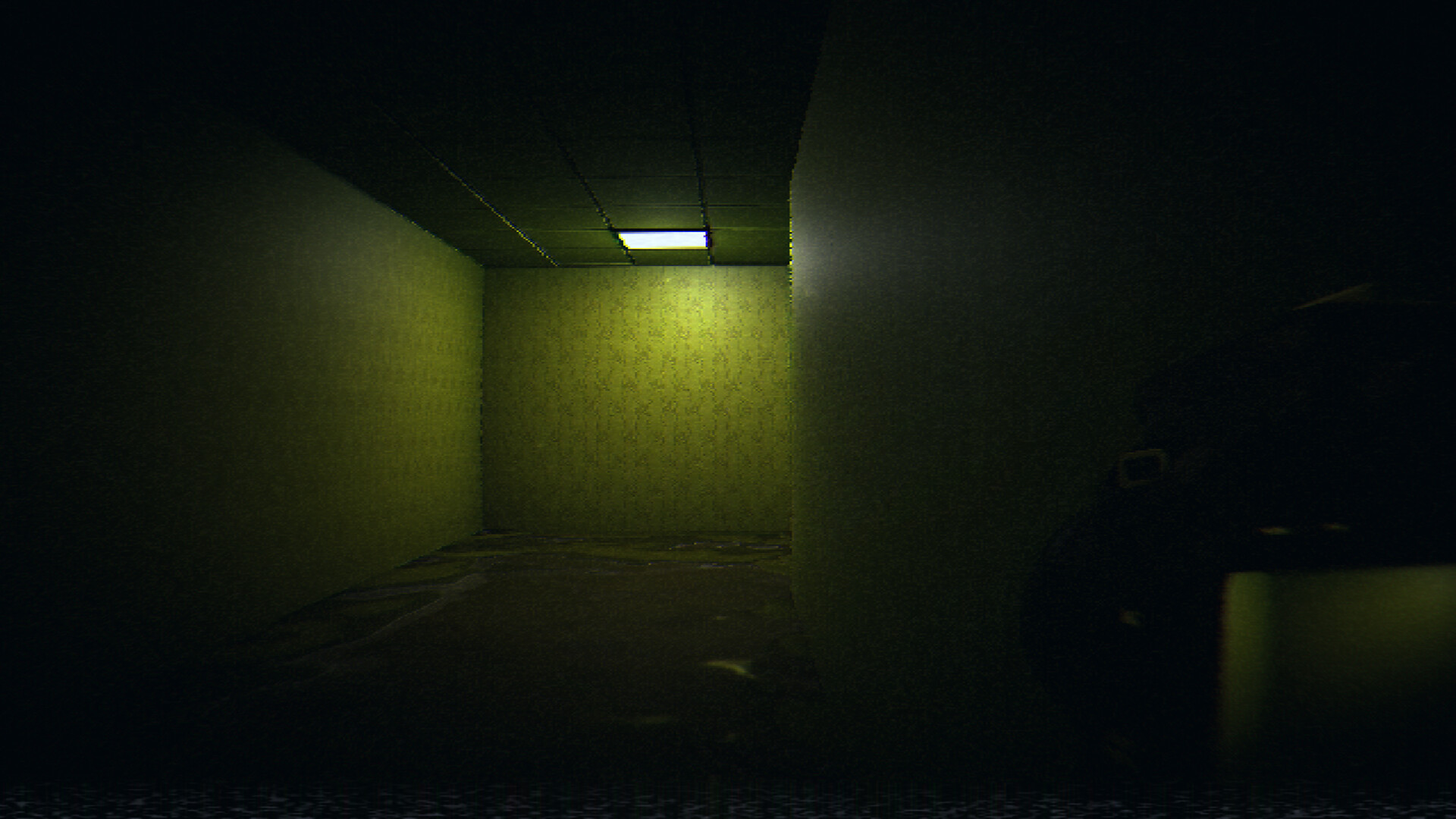 HorrorCore: Maze and Pools of Horror