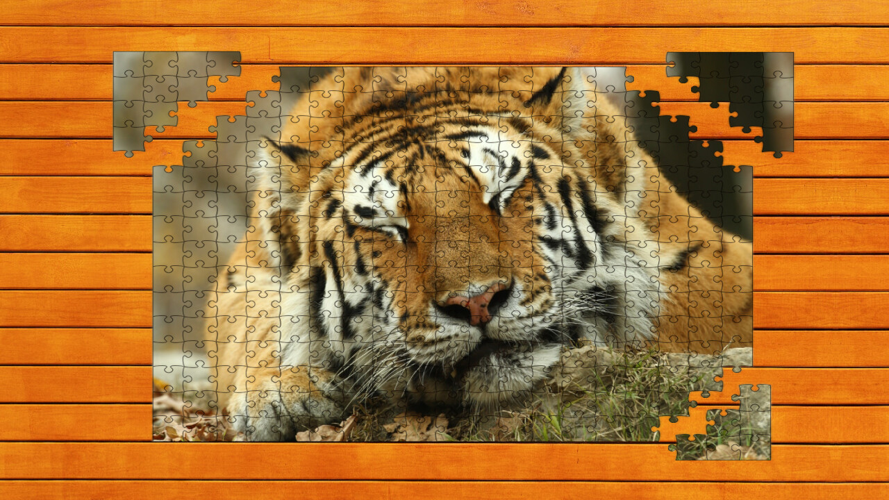 Big Cat Jigsaw Quest