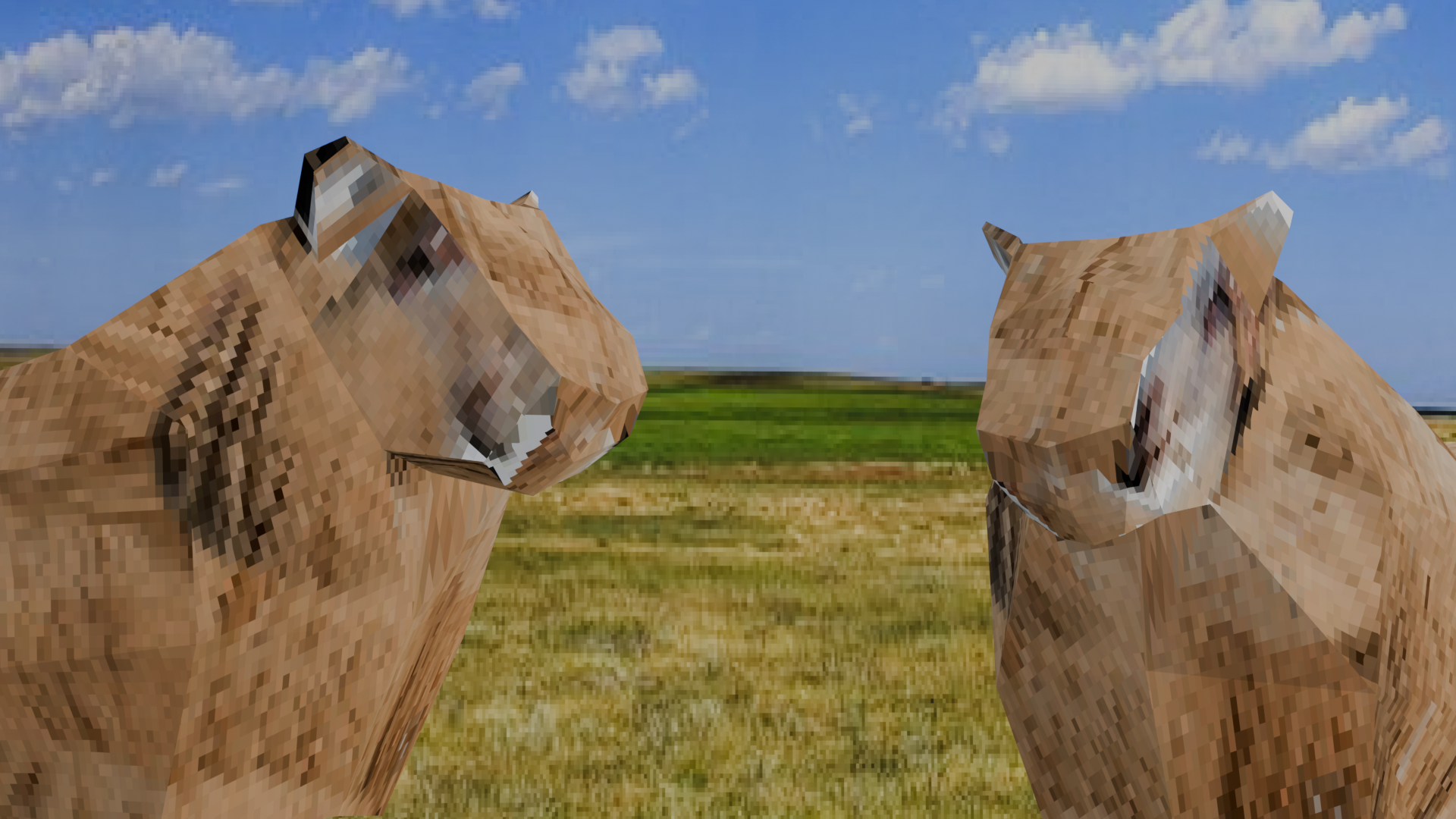My Dear Sheep