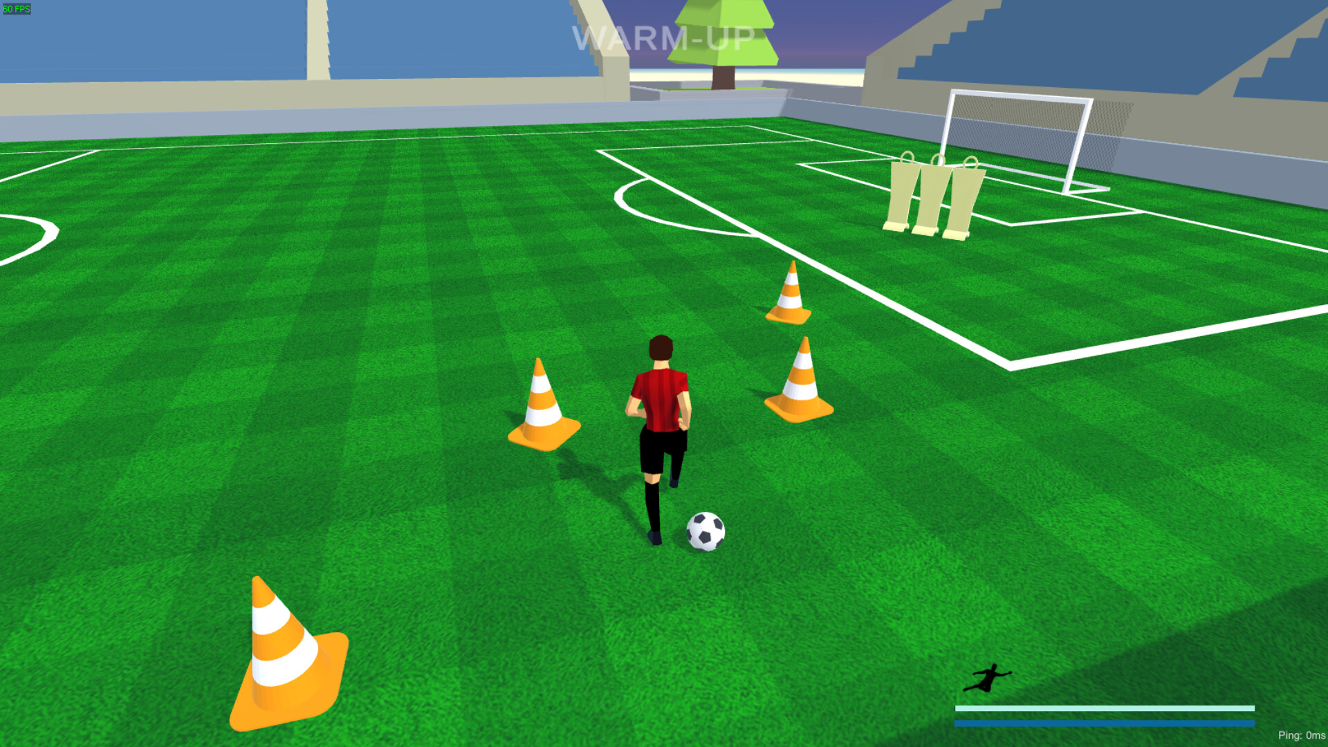 Soccer Field Pro 3D