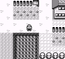 Pokémon: Professor Oak Challenge