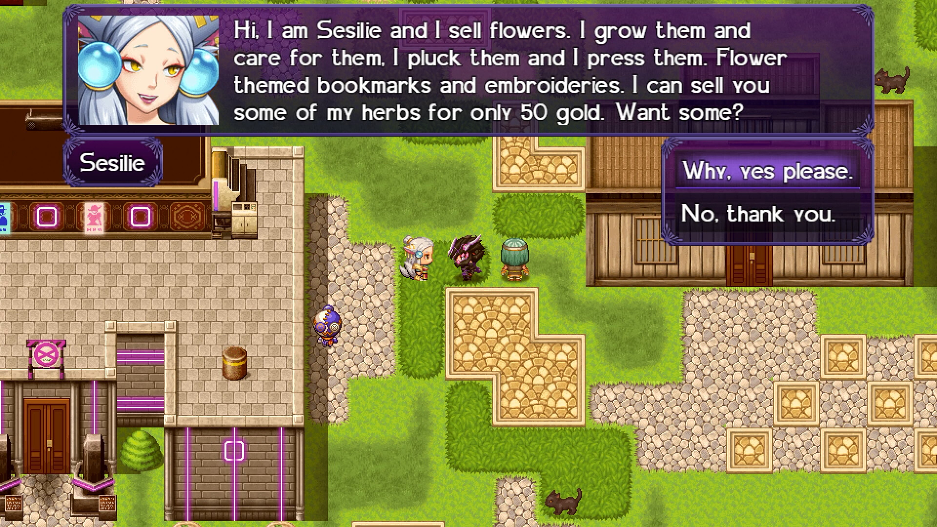 The Black Knight Chronicles: The Widow without Time