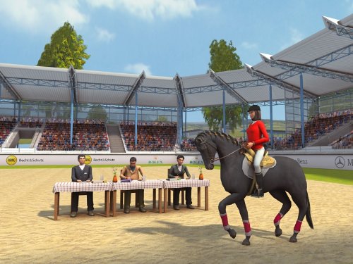 Championship Riding Star