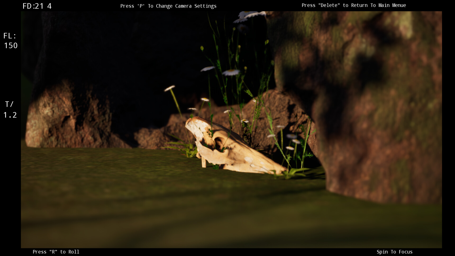 Focus Simulator