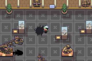 Pokémon: National History Museum