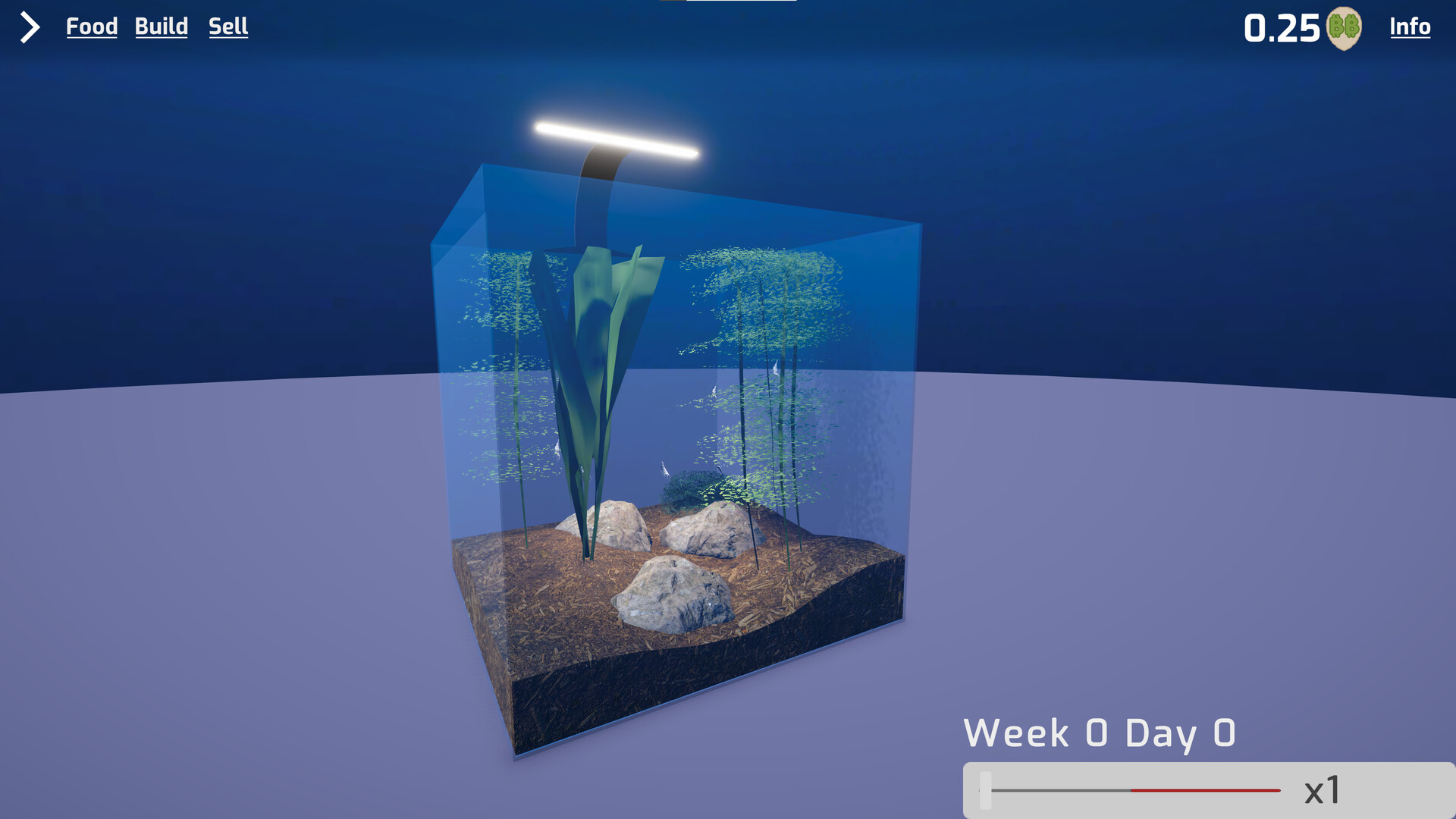Shrimp Keeping Simulator