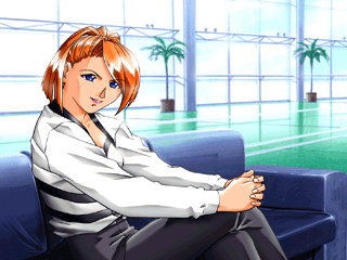 Meltylancer Re-inforce