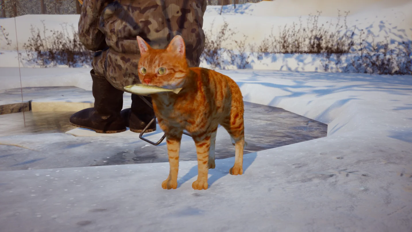 Russian Cat Simulator