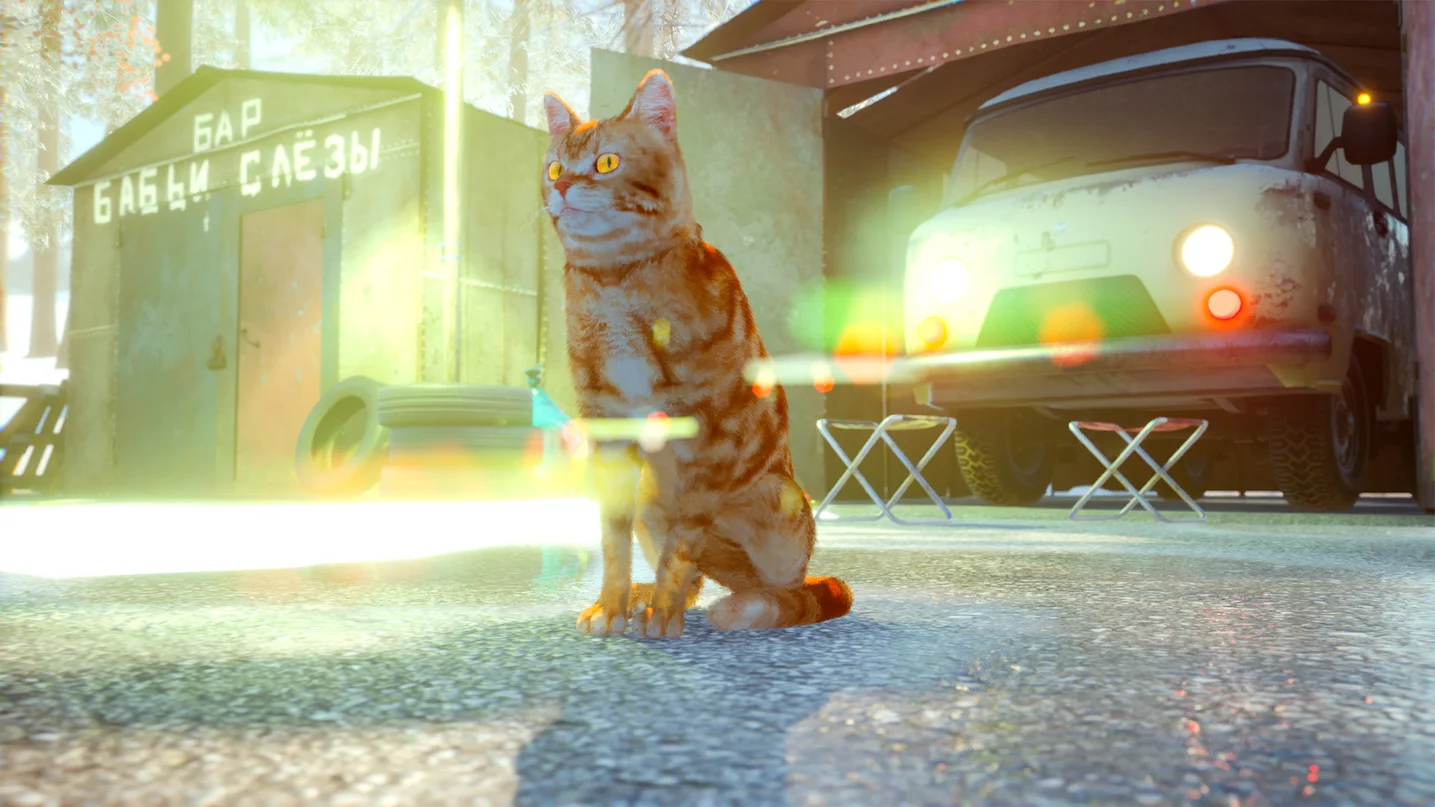 Russian Cat Simulator