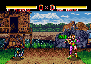 Burning Fists: Force Striker