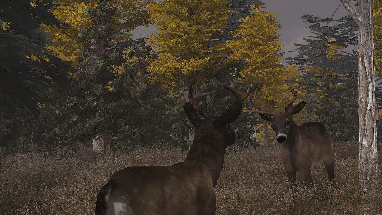 Deer Simulator