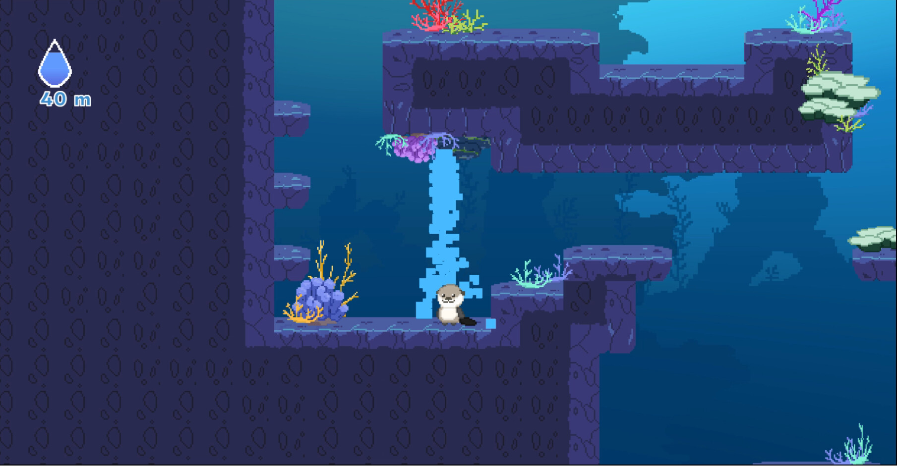 Ocean Otter Climb