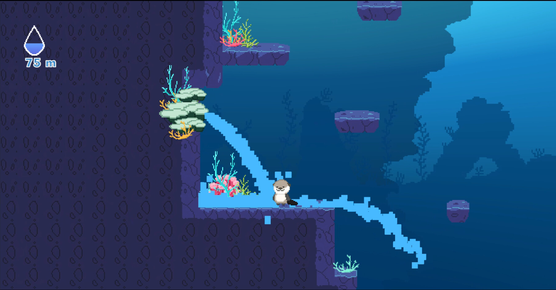 Ocean Otter Climb