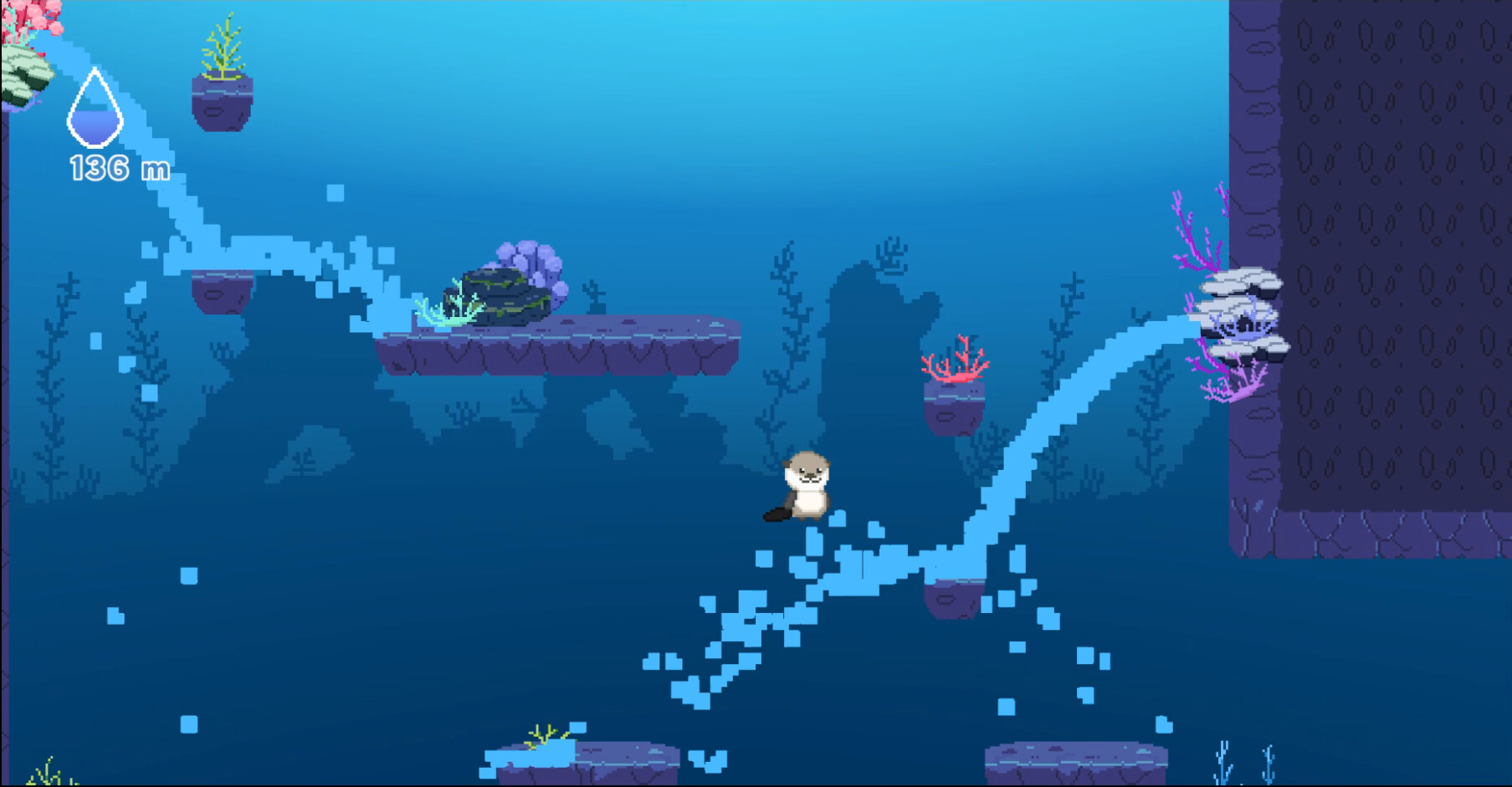 Ocean Otter Climb