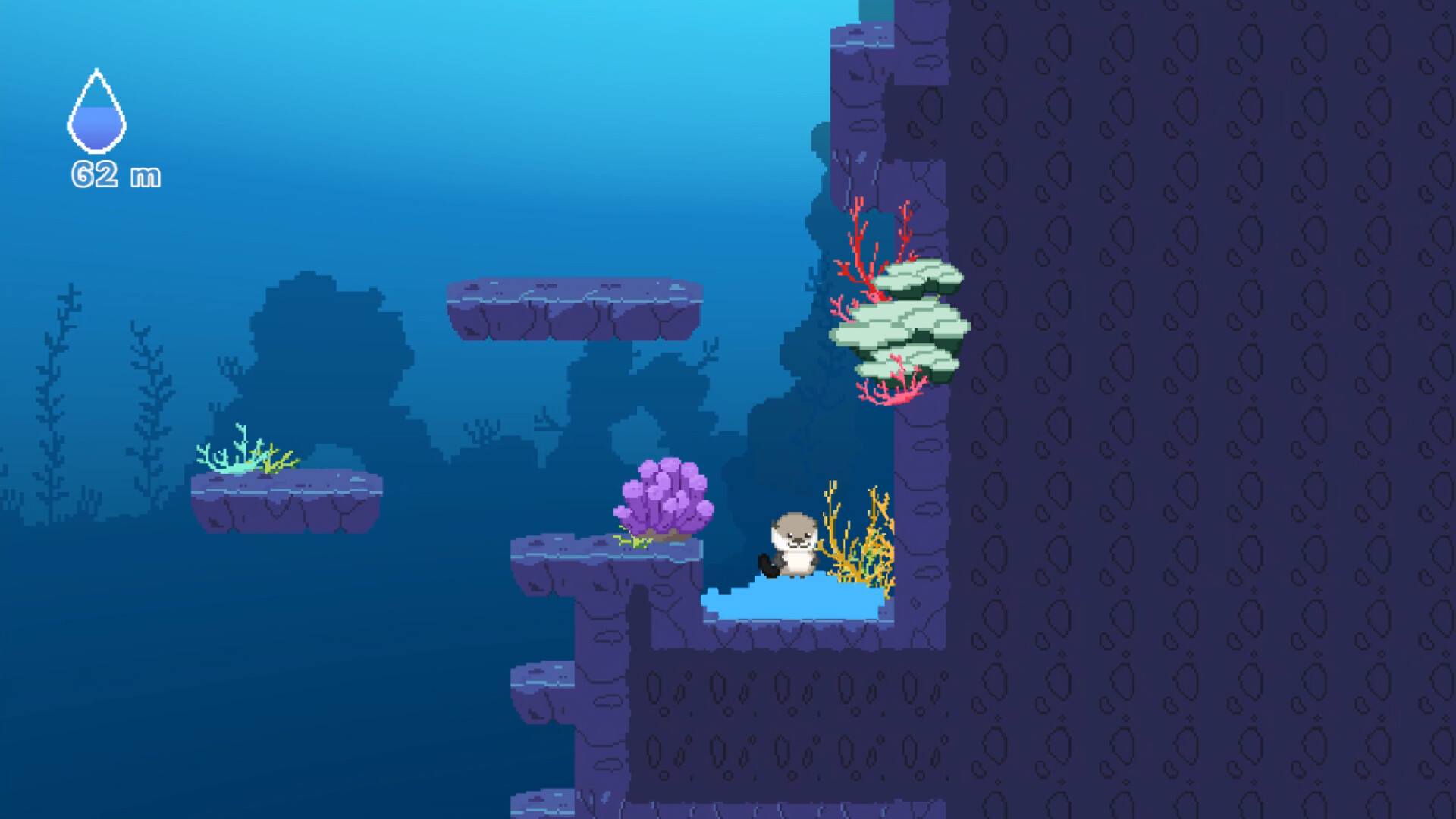 Ocean Otter Climb