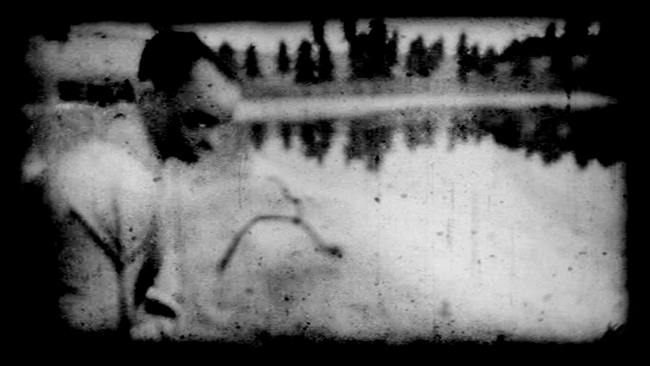 Letters to a Friend: Farewell