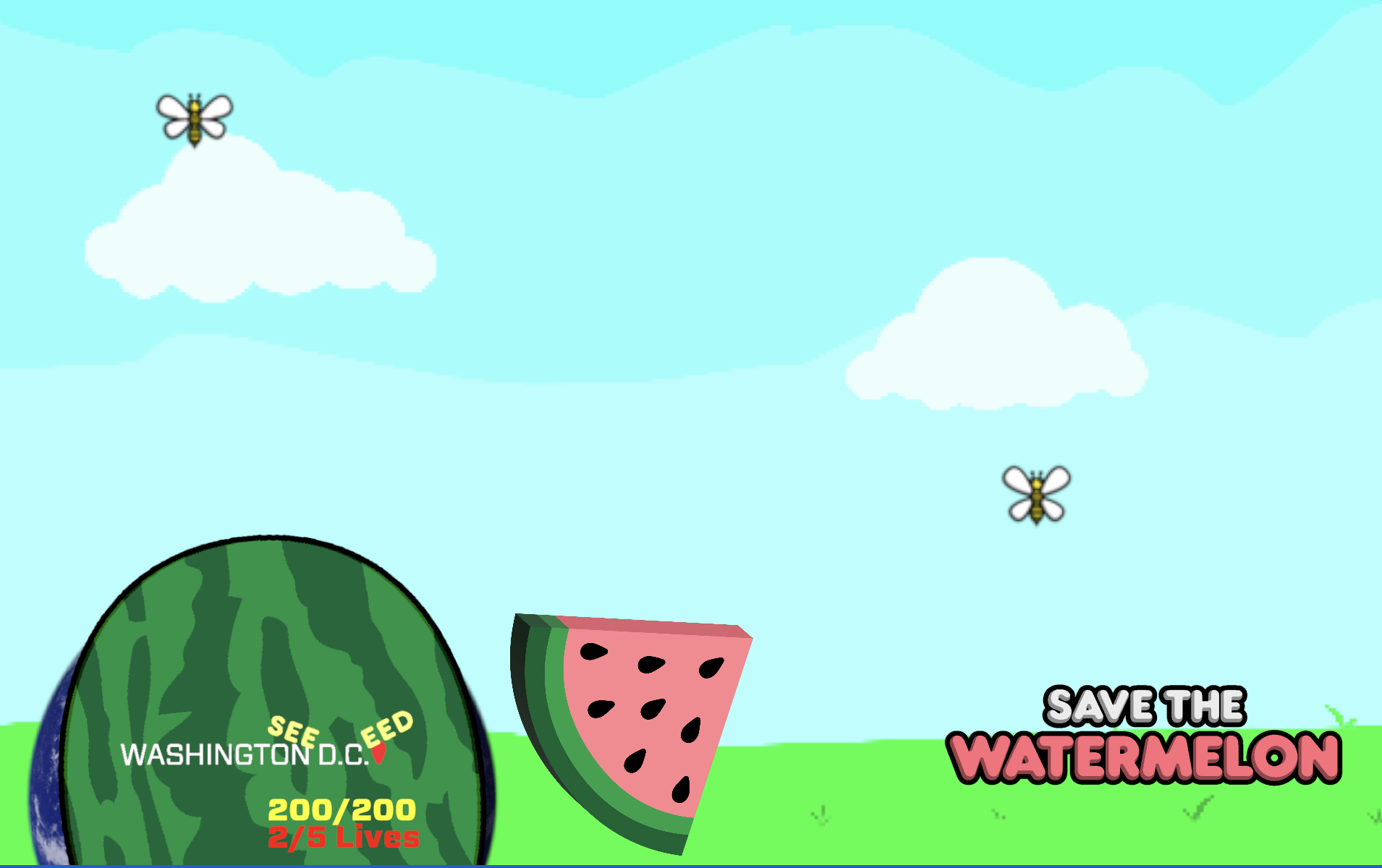 Save the Watermelon