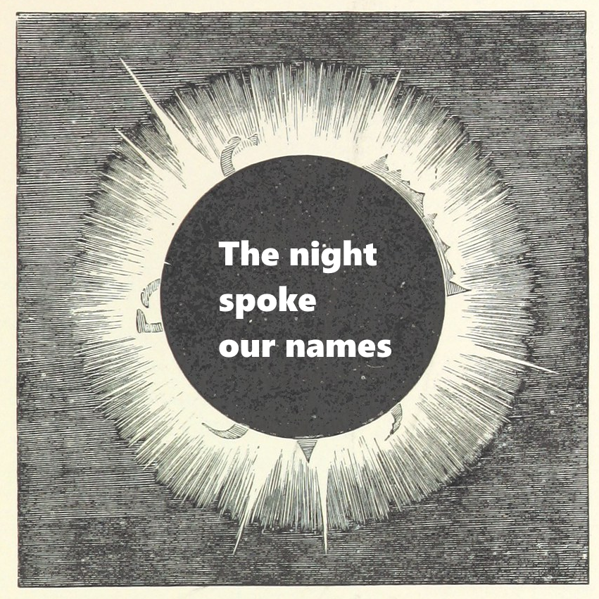 The night spoke our names