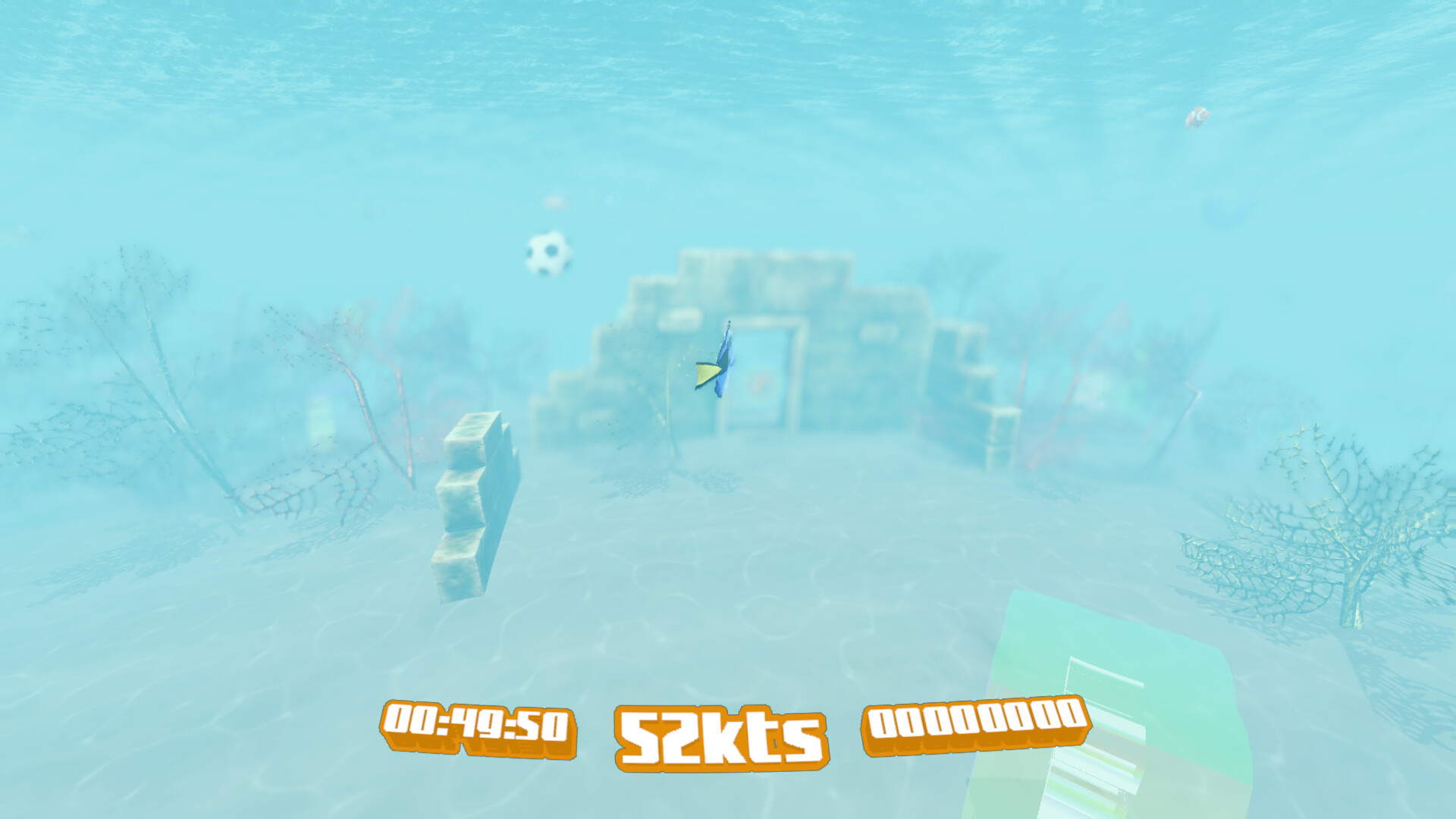 Tuna Hake’s Underwater
